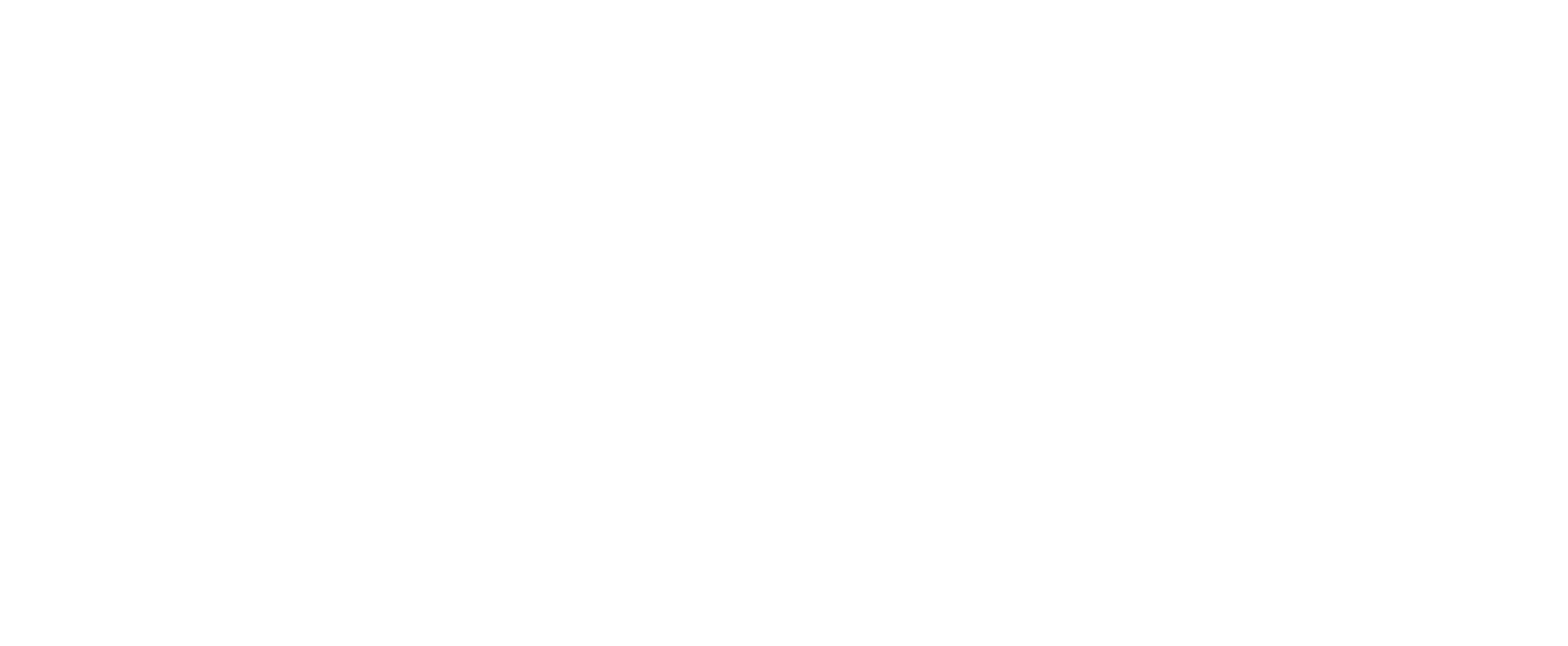 Izquierdo Seguros